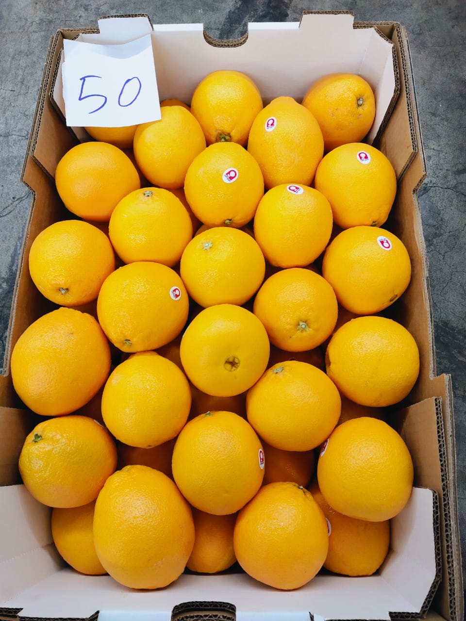 South Africa Unifrutti Navel Orange (1 CTN)
