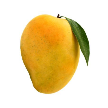 Indian Mango (1 pc)