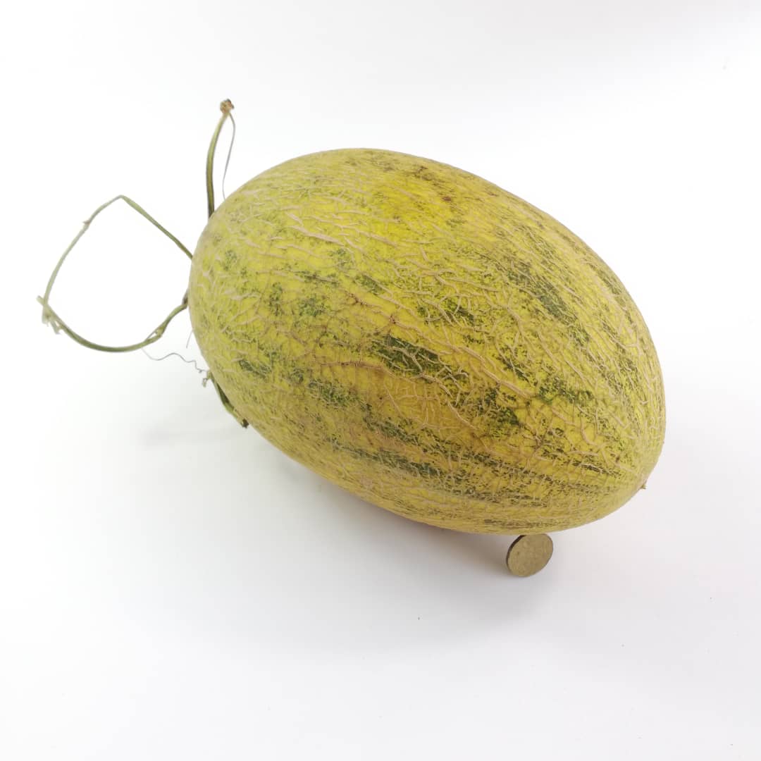 China Hami Melon (Ba Liu Wang)