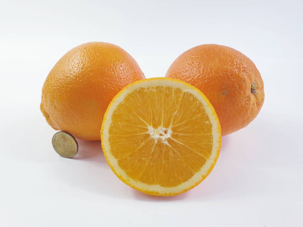 South African Unifrutti Navel Oranges (5pcs)
