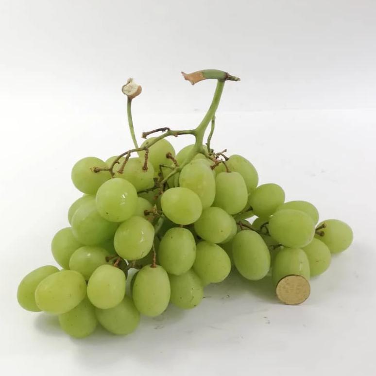 USA Sweet Globe Green Seedless Grapes
