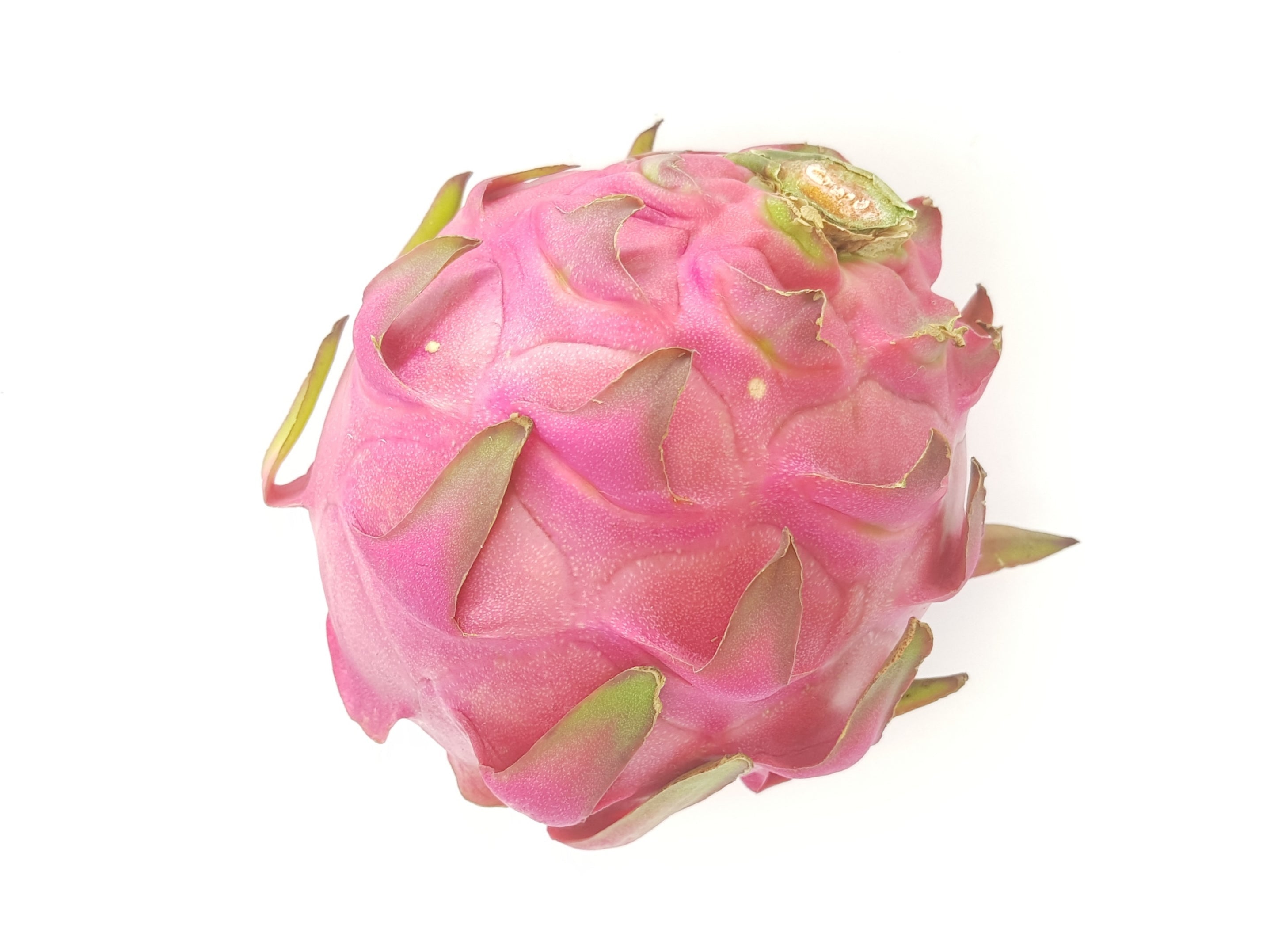 Local Red Dragonfruit (1 pc)