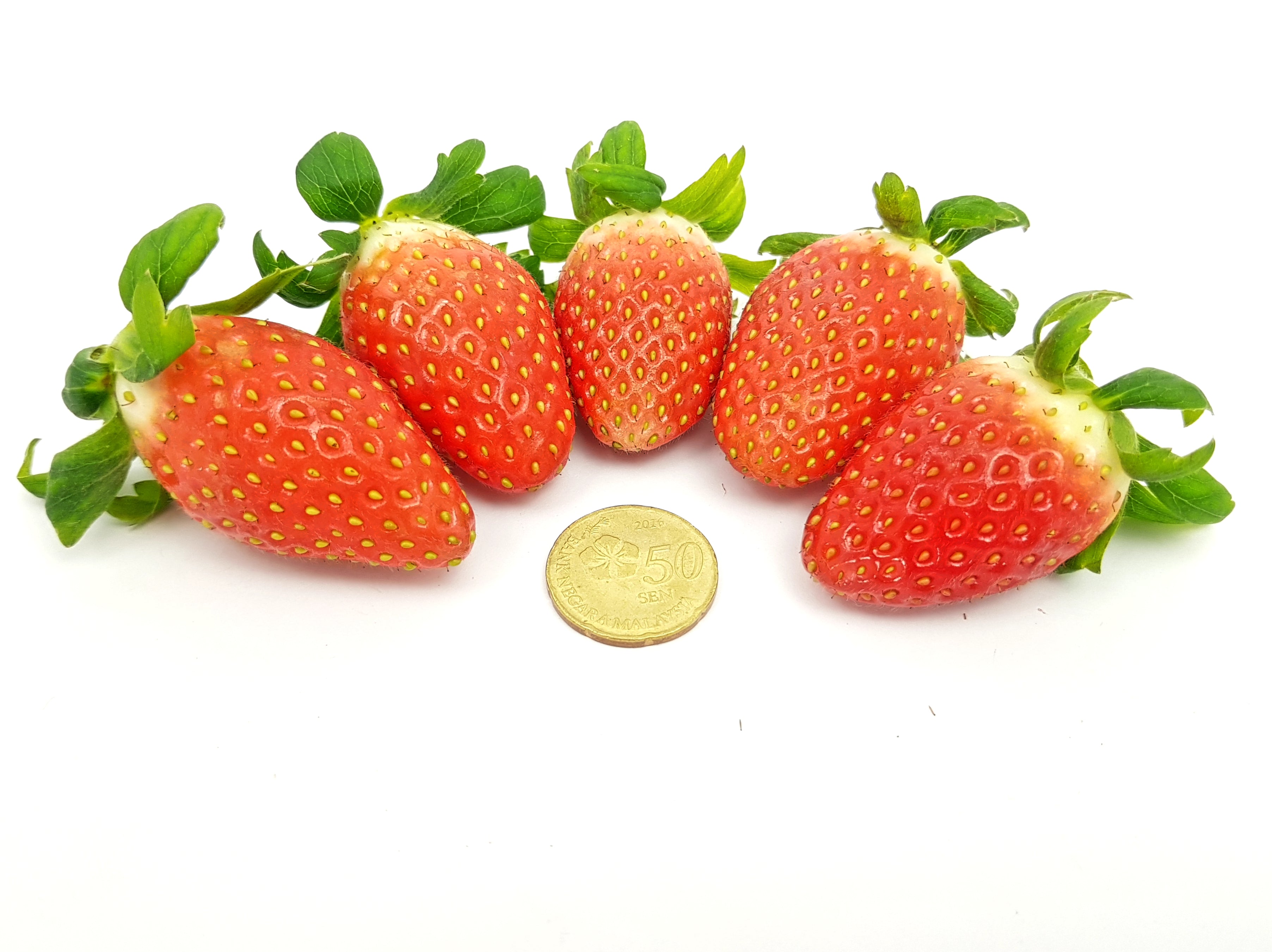 Korean Strawberry Medium 250g