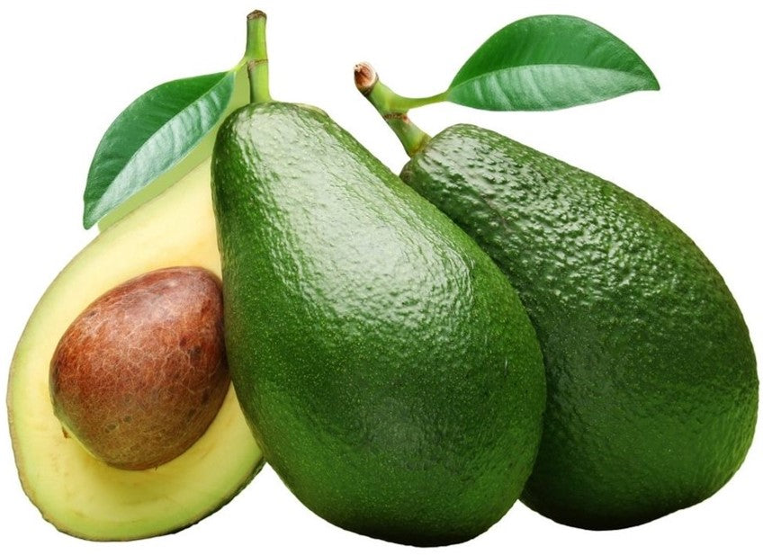 Aus Avocado Shepherd 1pcs