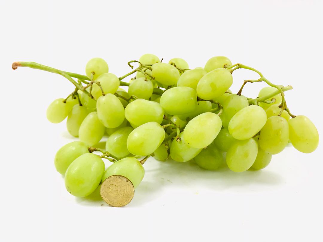 USA Sweet Globe Green Seedless Grapes