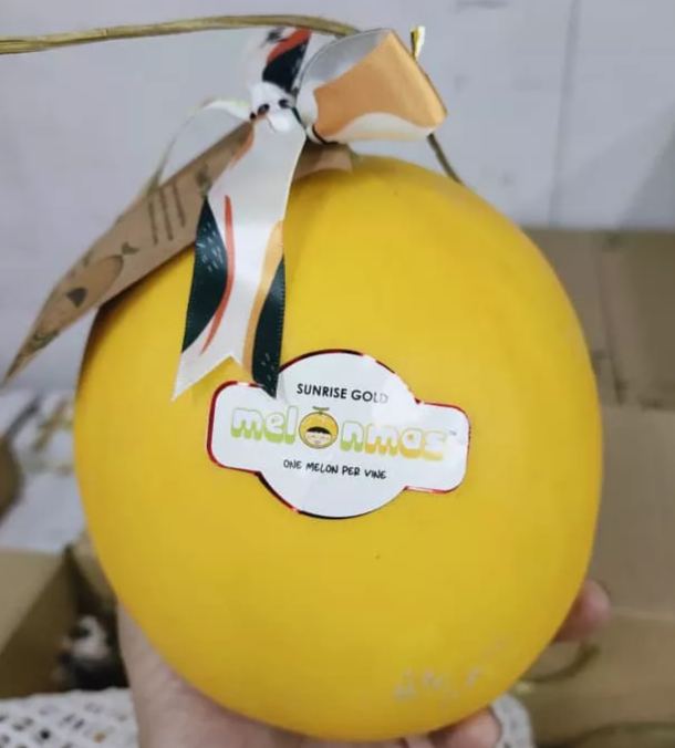 Local Sunrise Gold Melon