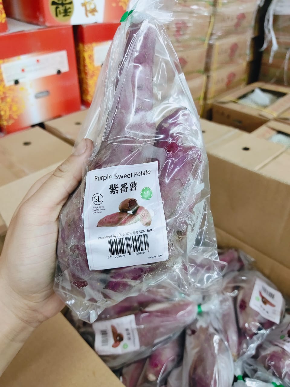 Indonesia Purple Sweet Potato
