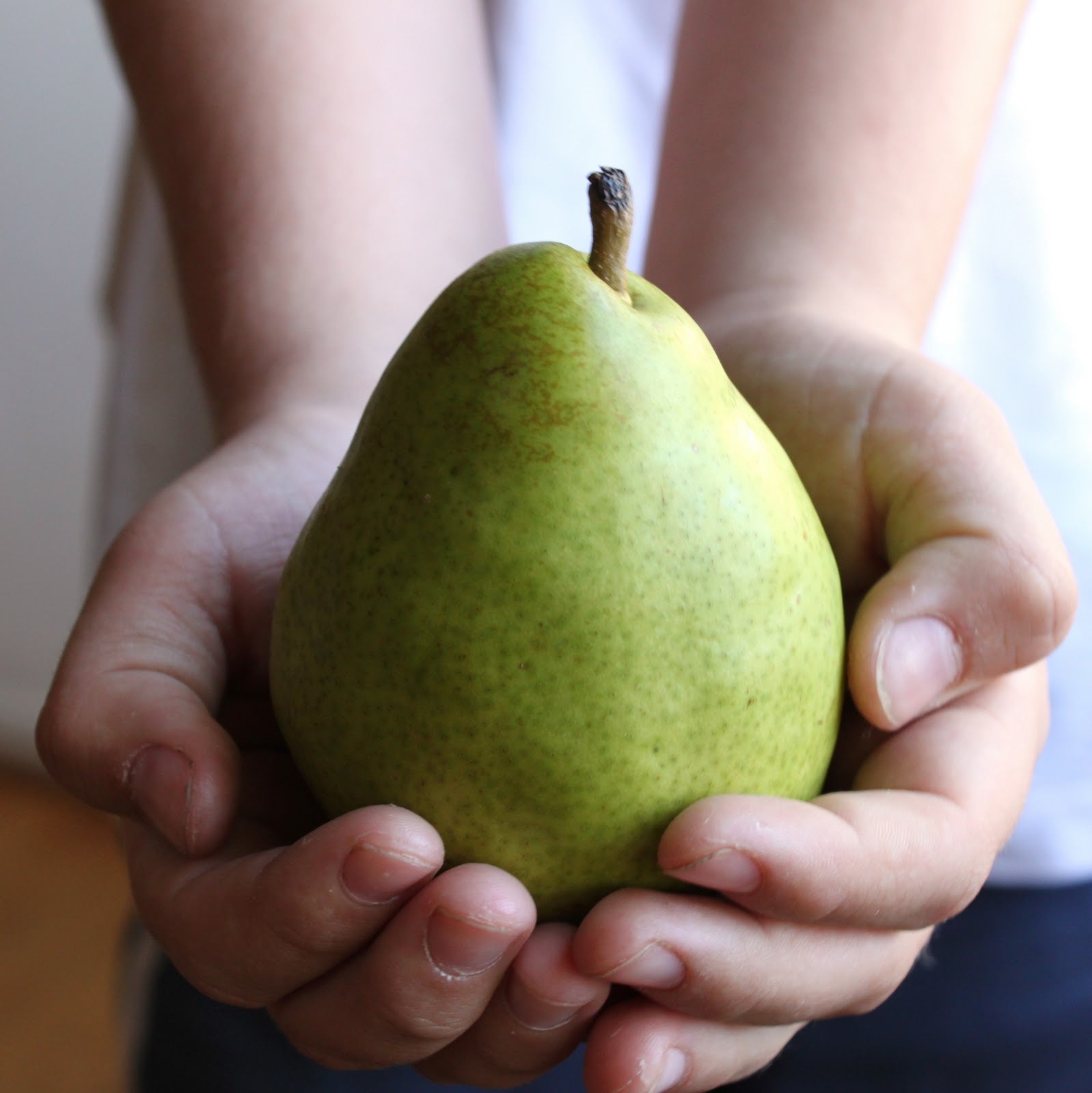 China Singo Pear Gift Box (XXL)