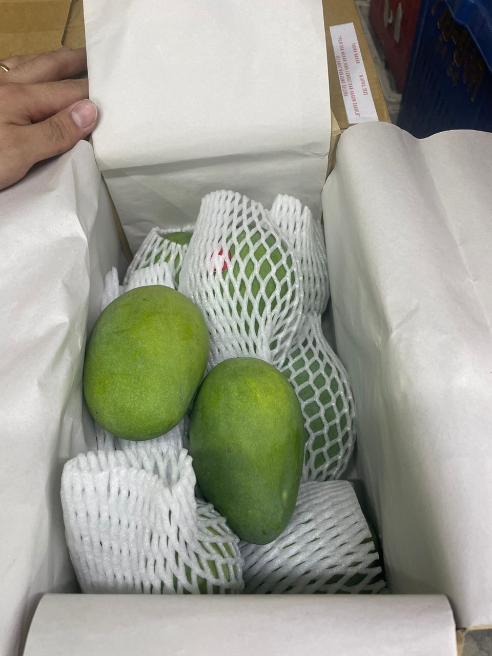 Perlis Harum Manis Mango (1 CTN)