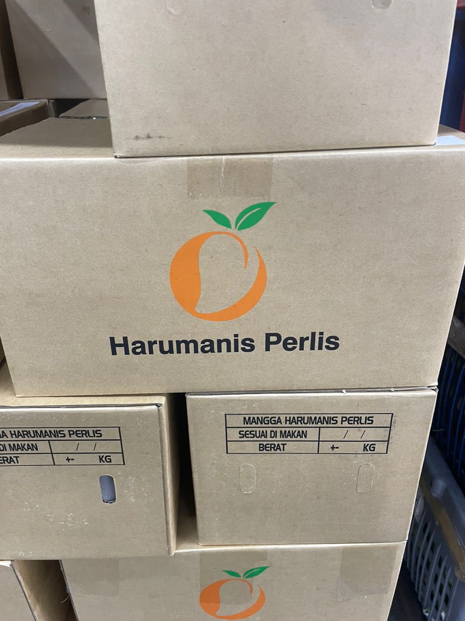 Perlis Harum Manis Mango (1 CTN)
