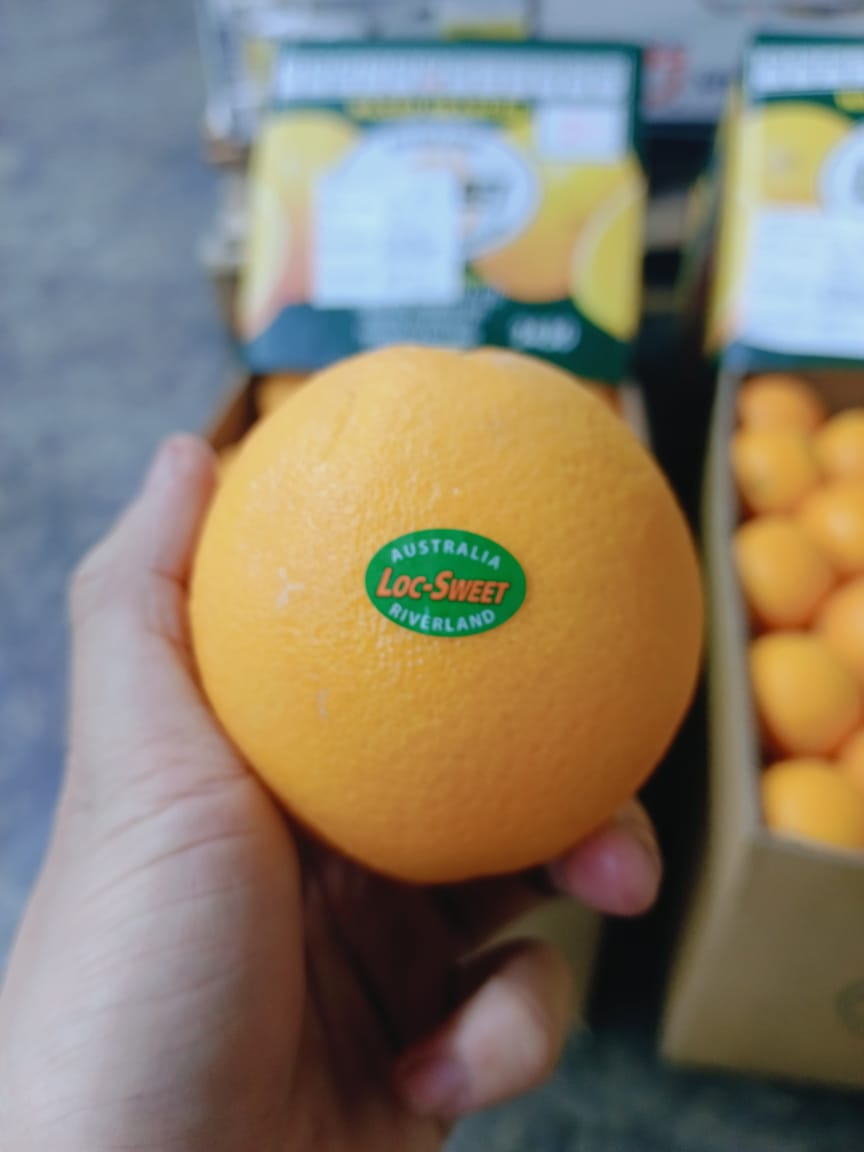 AUS Loc Sweet Navel Orange (5 pcs)