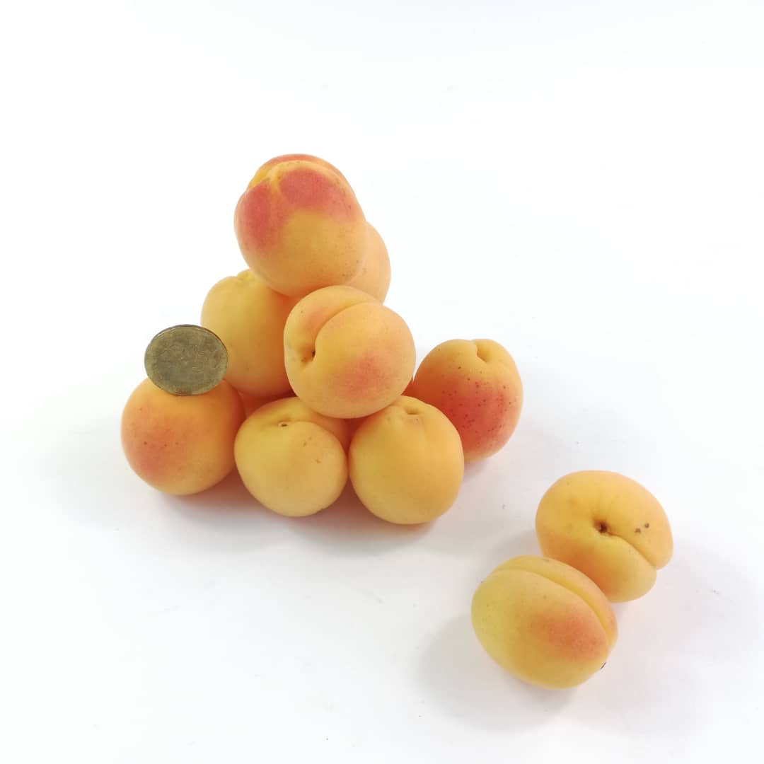 Turkey Sugar Apricot (350g)