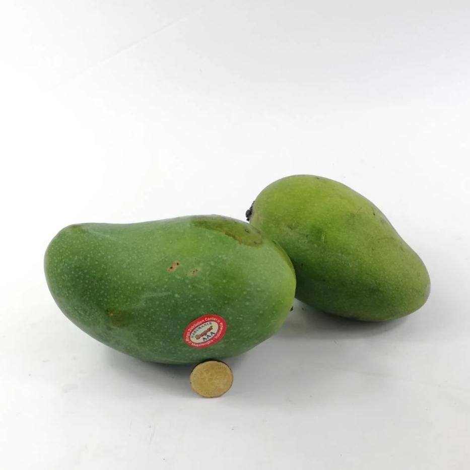 Indonesia Harum Manis Mango
