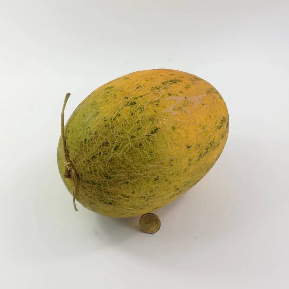 China Hami Melon (Ba Liu Wang)