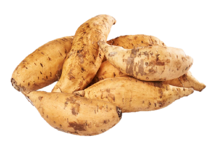 Indonesia Honey Sweet Potato (Yellow) 