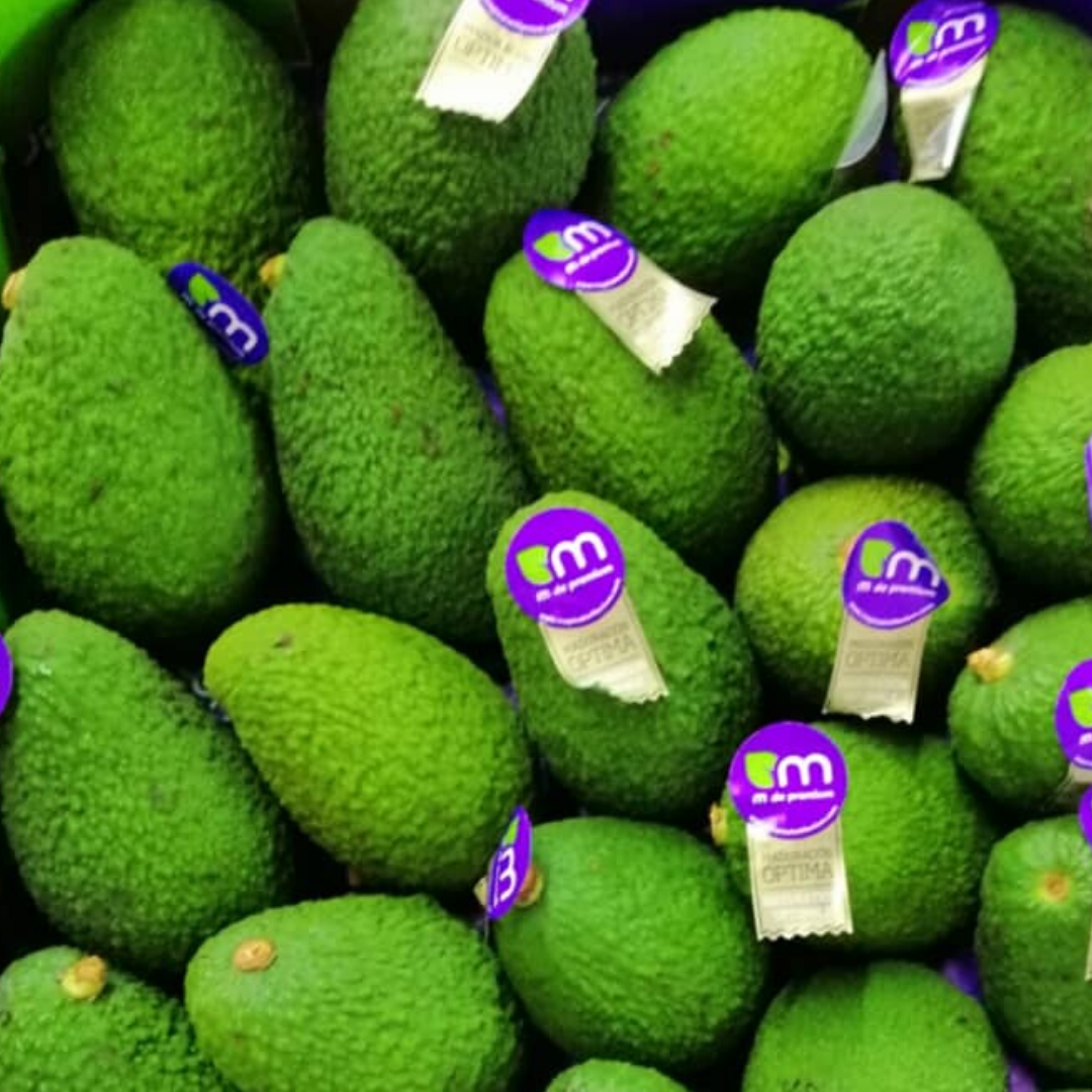 can you add avocado in spanish