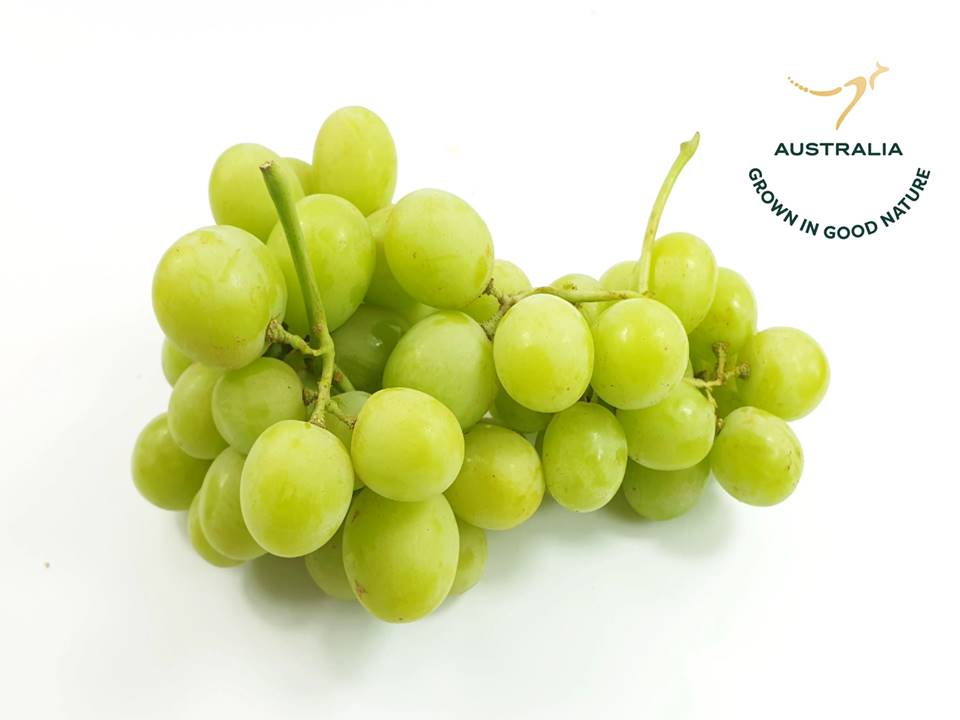 Aus Autumn Crisp Green Seedless Grapes (1 kg)