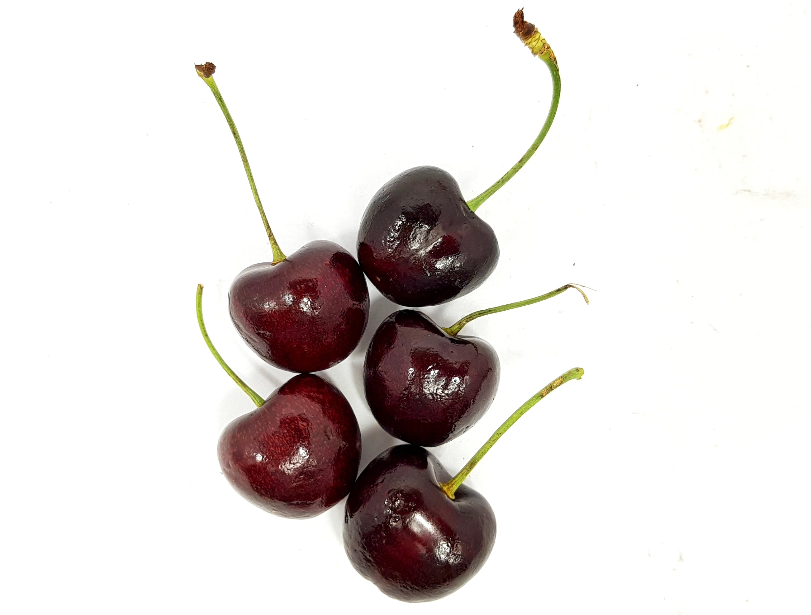 Canada Cherry 9.5 row (500g)