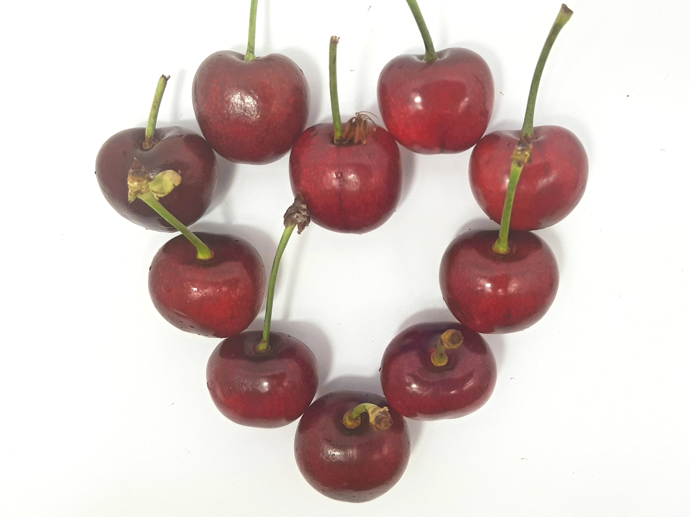 Canada Cherry 9.5 row (500g)