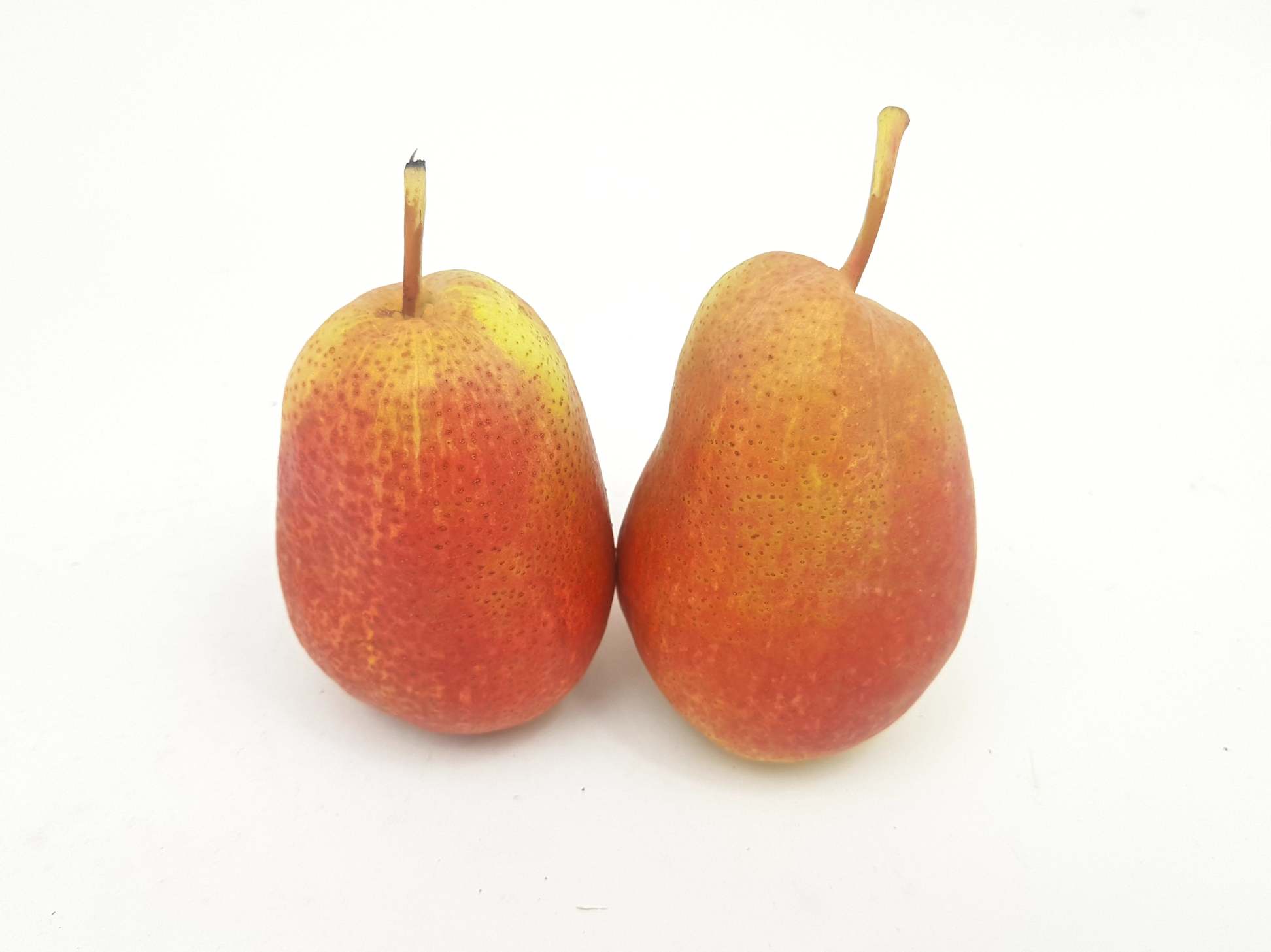 South African Forelle Pears M 5 Pcspack 