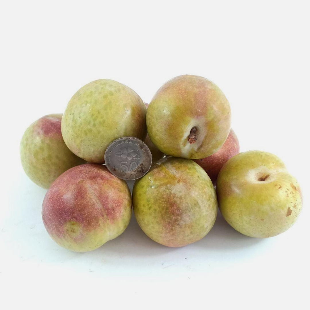 Australian October Sun Plums