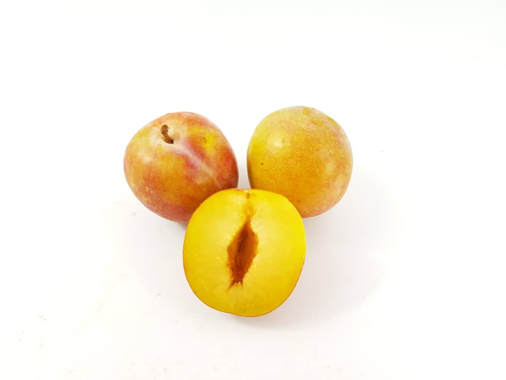 Australian October Sun Plums
