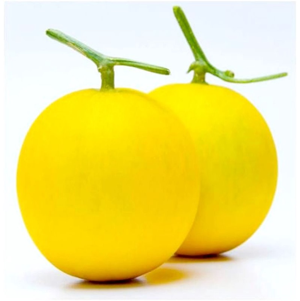 Farmego Yellow  Halo Melon (1 piece)