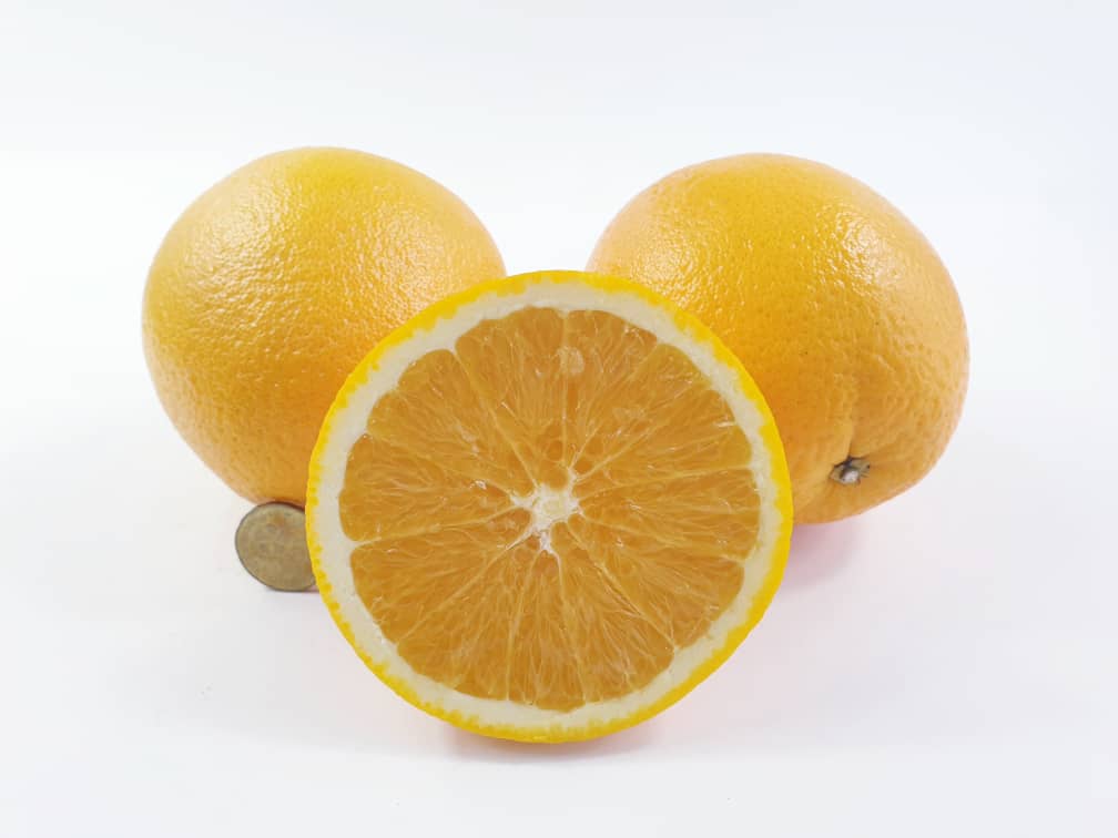 South African Unifrutti Cambria Navel Oranges (XL)