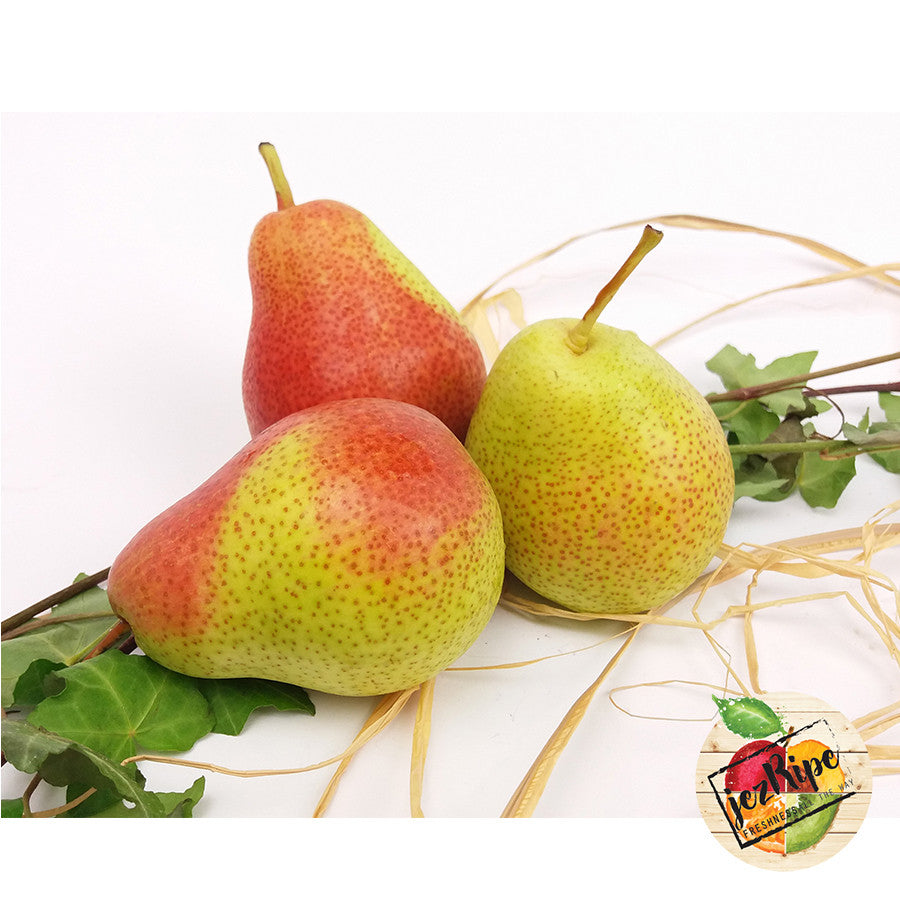 SA Forella Pear (5pcs)