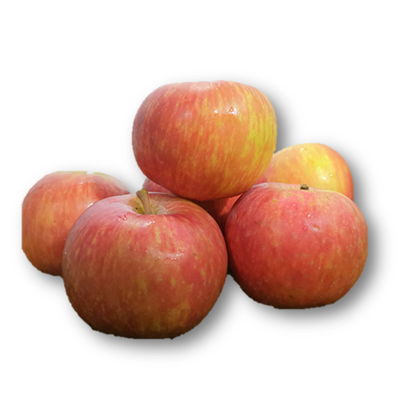 SA Red Fuji Honey Apples 8 pcs