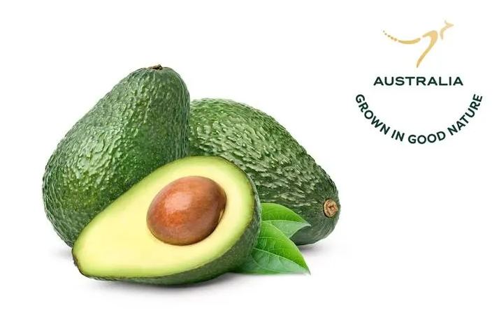Australian Avocado (3 pcs)