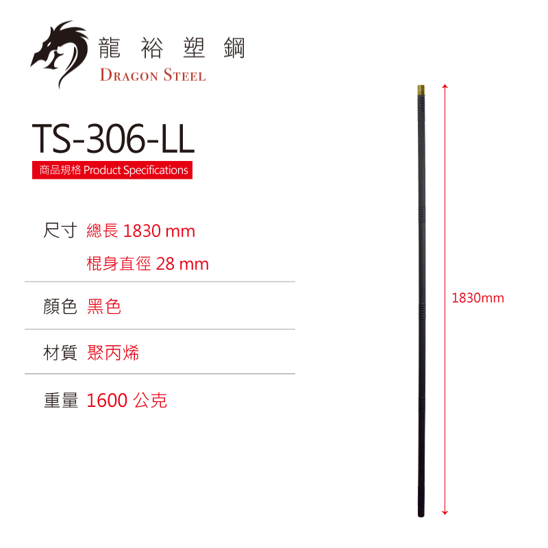 Dragon Steel -  (TS-306-LL) Long Stick / Shaft for Spear (Head Only)