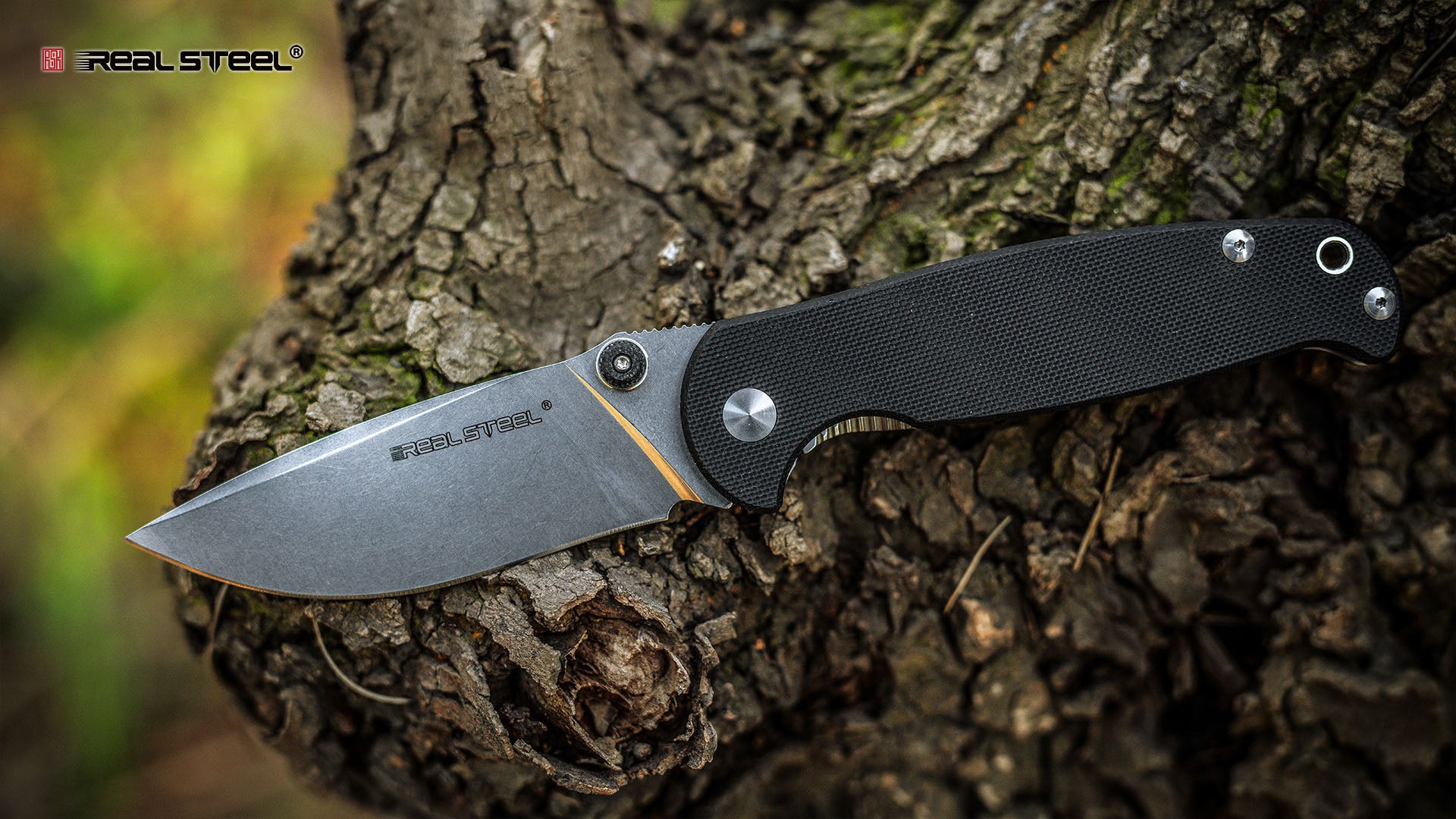 RealSteel - H6 Elegance Folding Knife