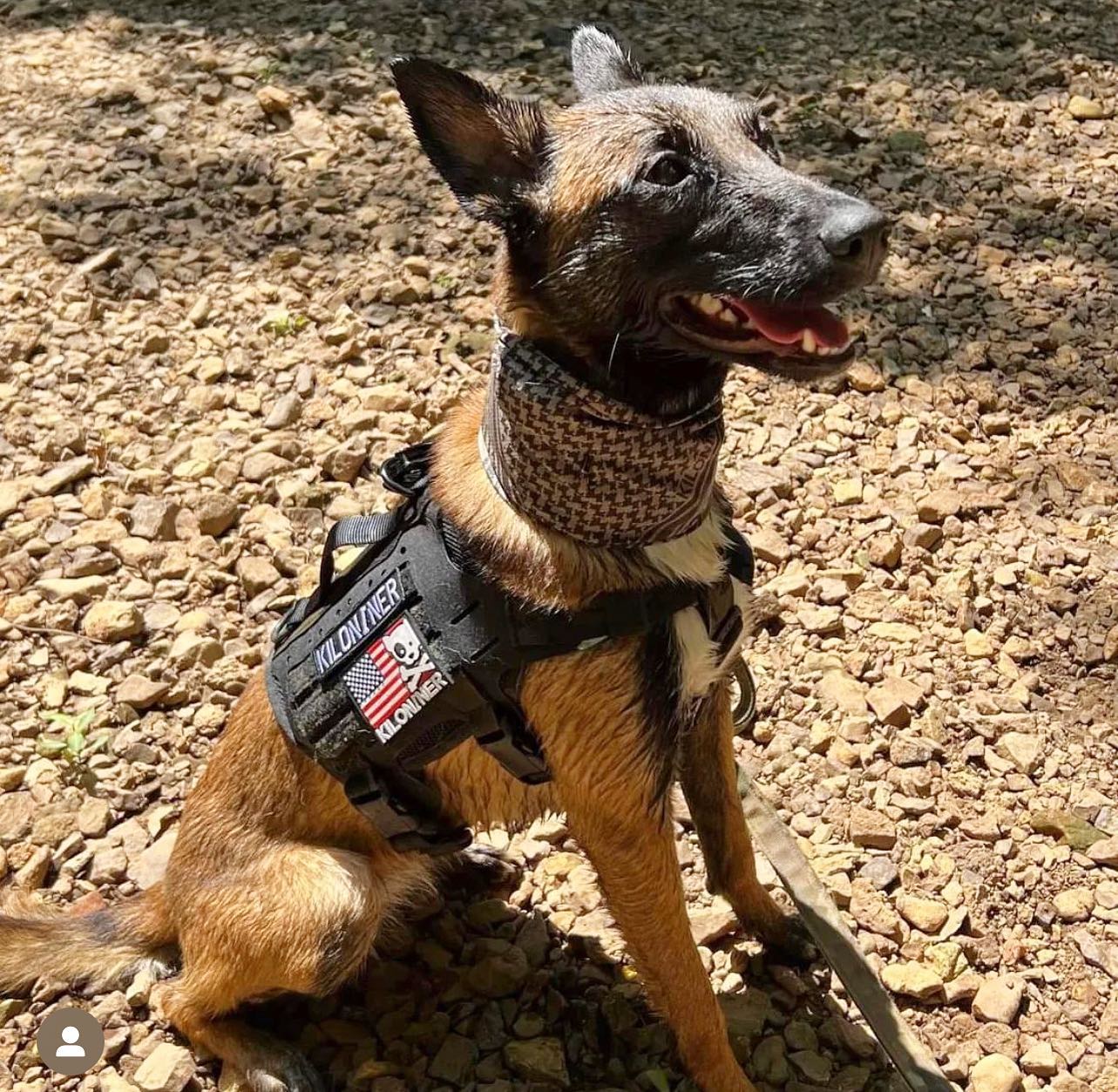Kiloniner - M4 Tactical MOLLE Vest for Pets Kiloniner - M4 Tactical MOLLE Vest for Pets