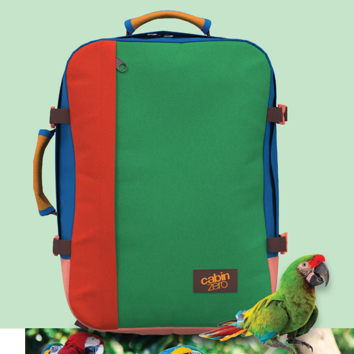 CabinZero - Classic 36L Backpack