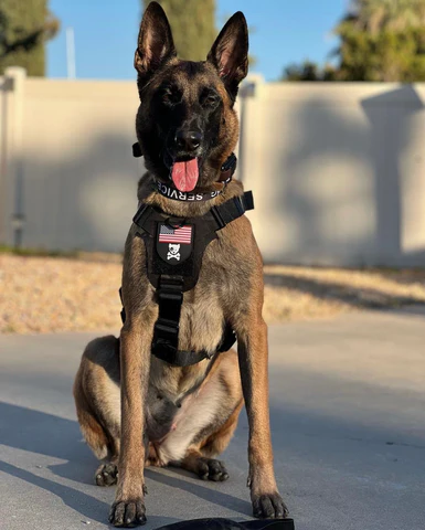 Kiloniner - M1 Lightspeed Harness for Pets