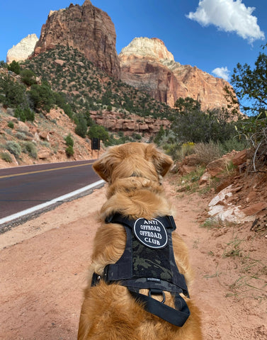 Kiloniner - M1 Lightspeed Harness for Pets