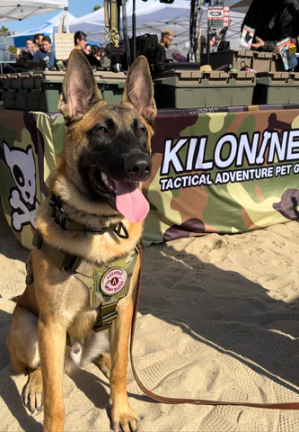 Kiloniner - M1 Lightspeed Harness for Pets