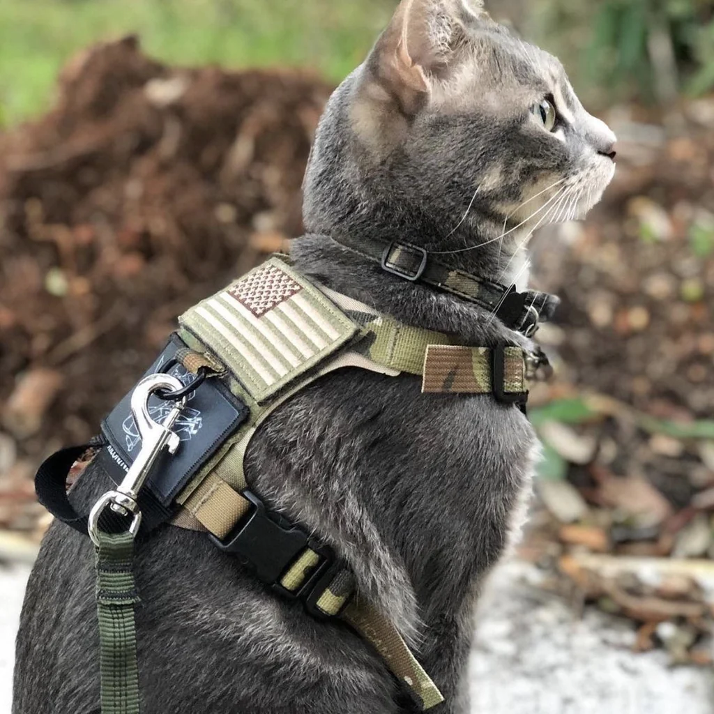 Kiloniner - M1 Lightspeed Harness for Pets