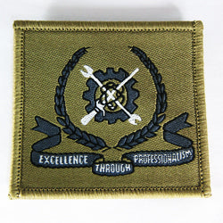 SAF - Patch MES Excellence through Professionalism