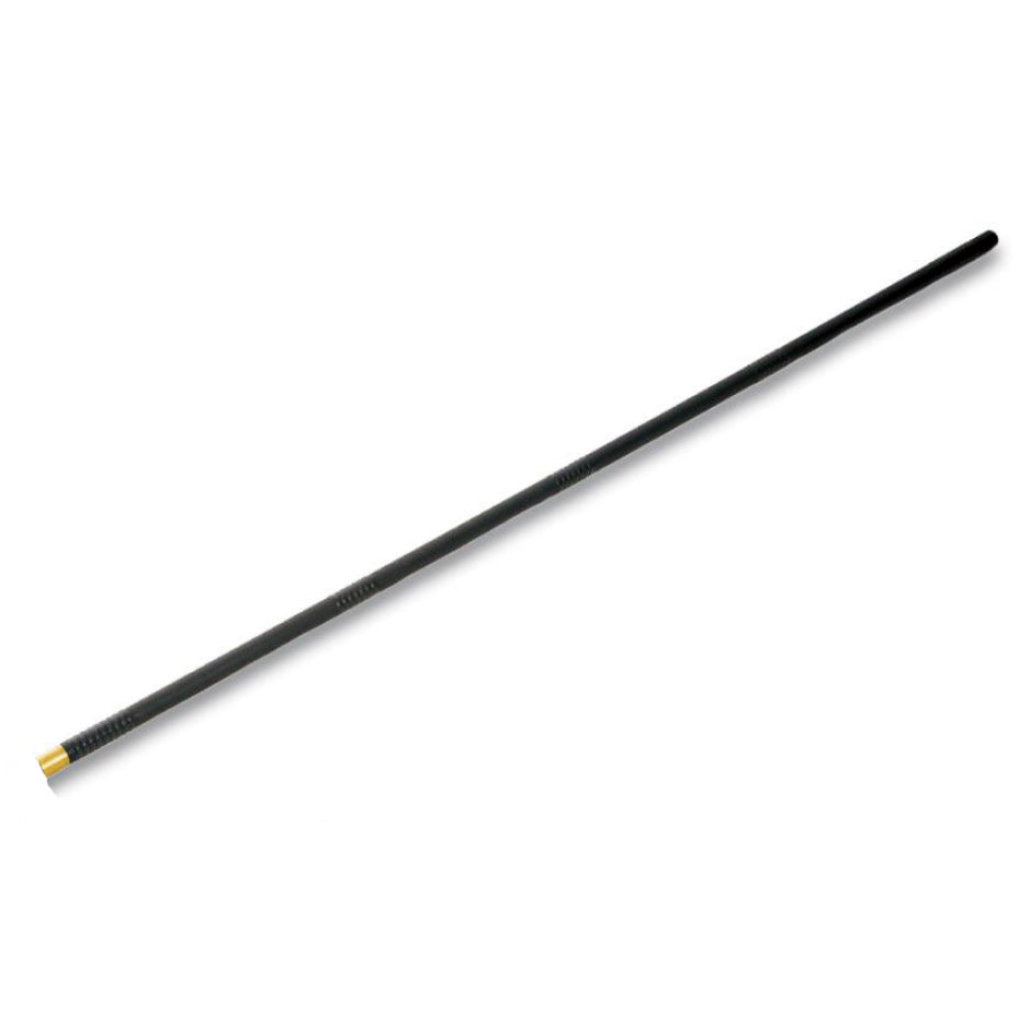 Dragon Steel -  (TS-306-LL) Long Stick / Shaft for Spear (Head Only)