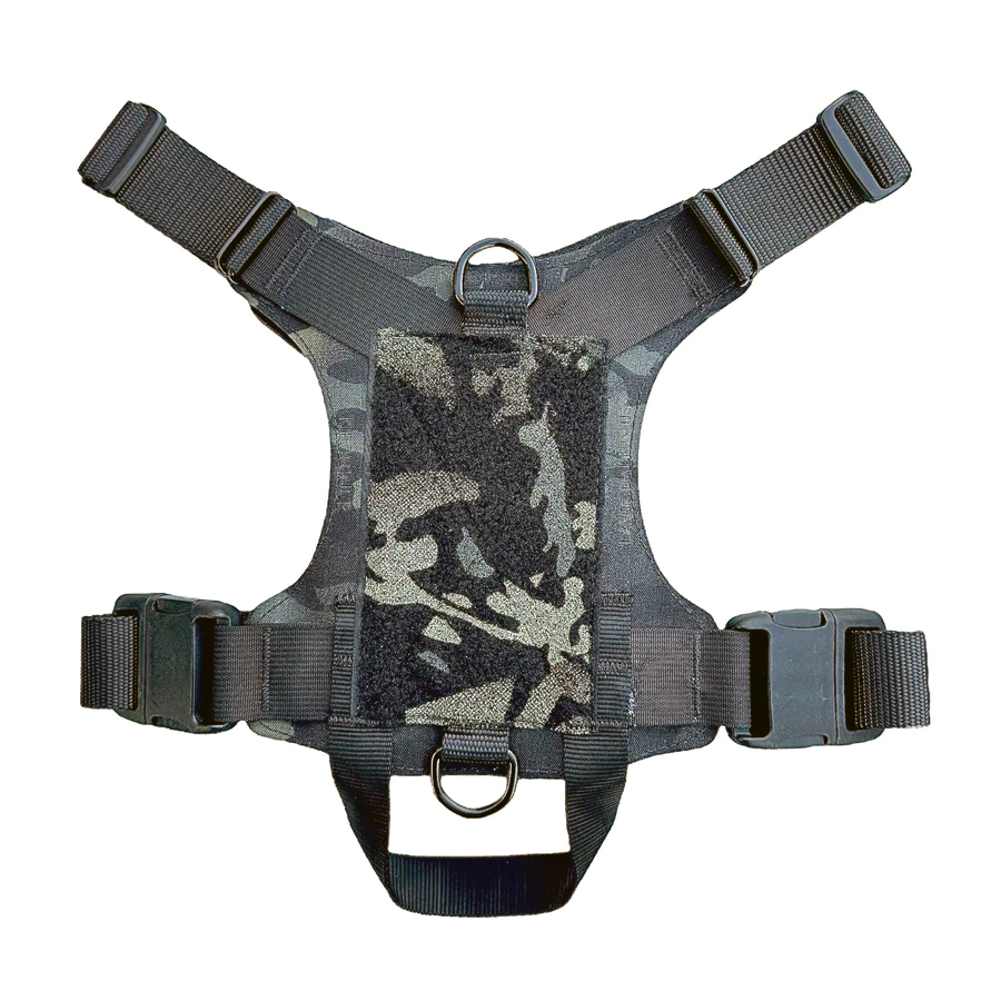Kiloniner 2023モデル M1 Light Speed Harness K9R - M1 LightSpeed Harness