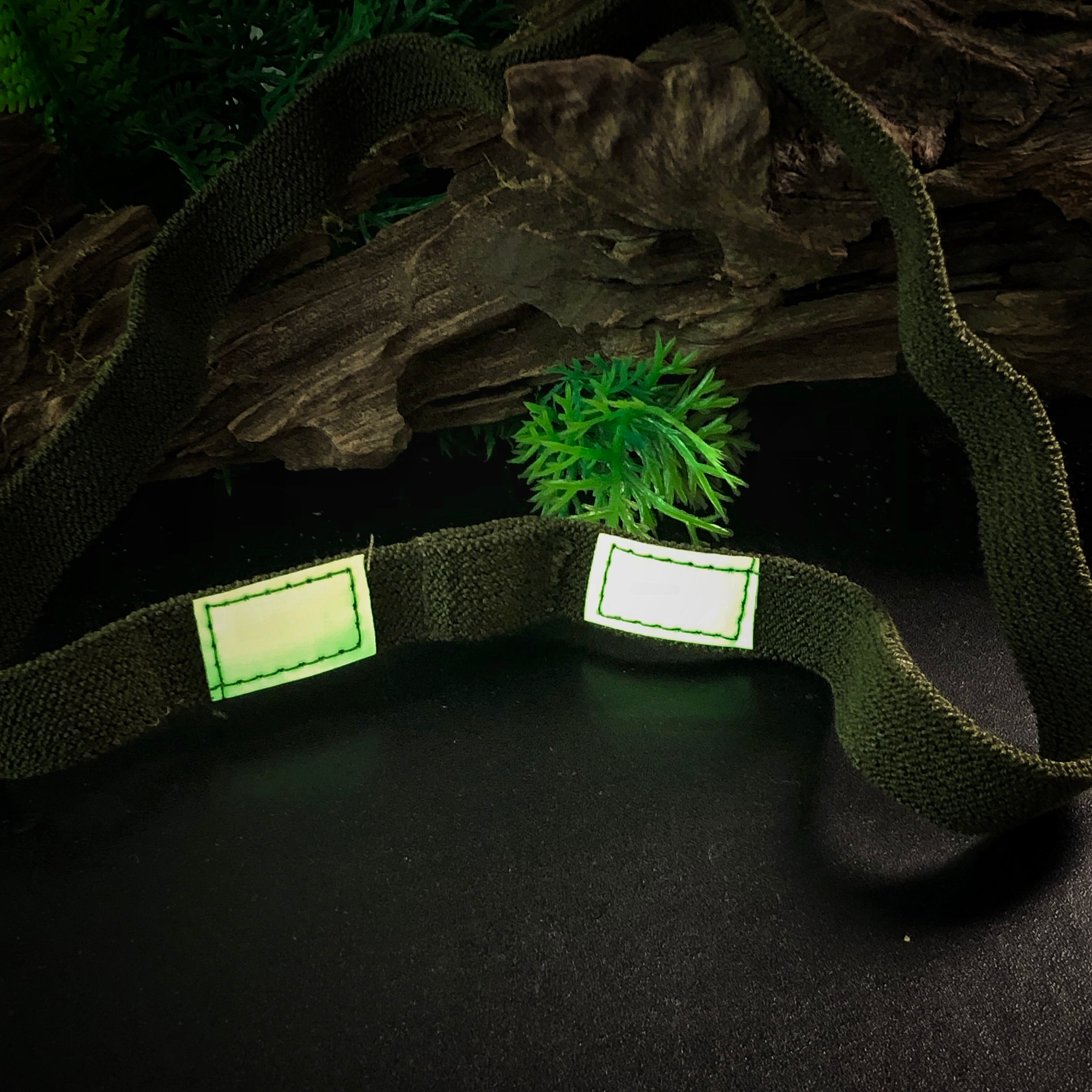 Black Stealth - CatEye Helmet Band (Ranger Eye)