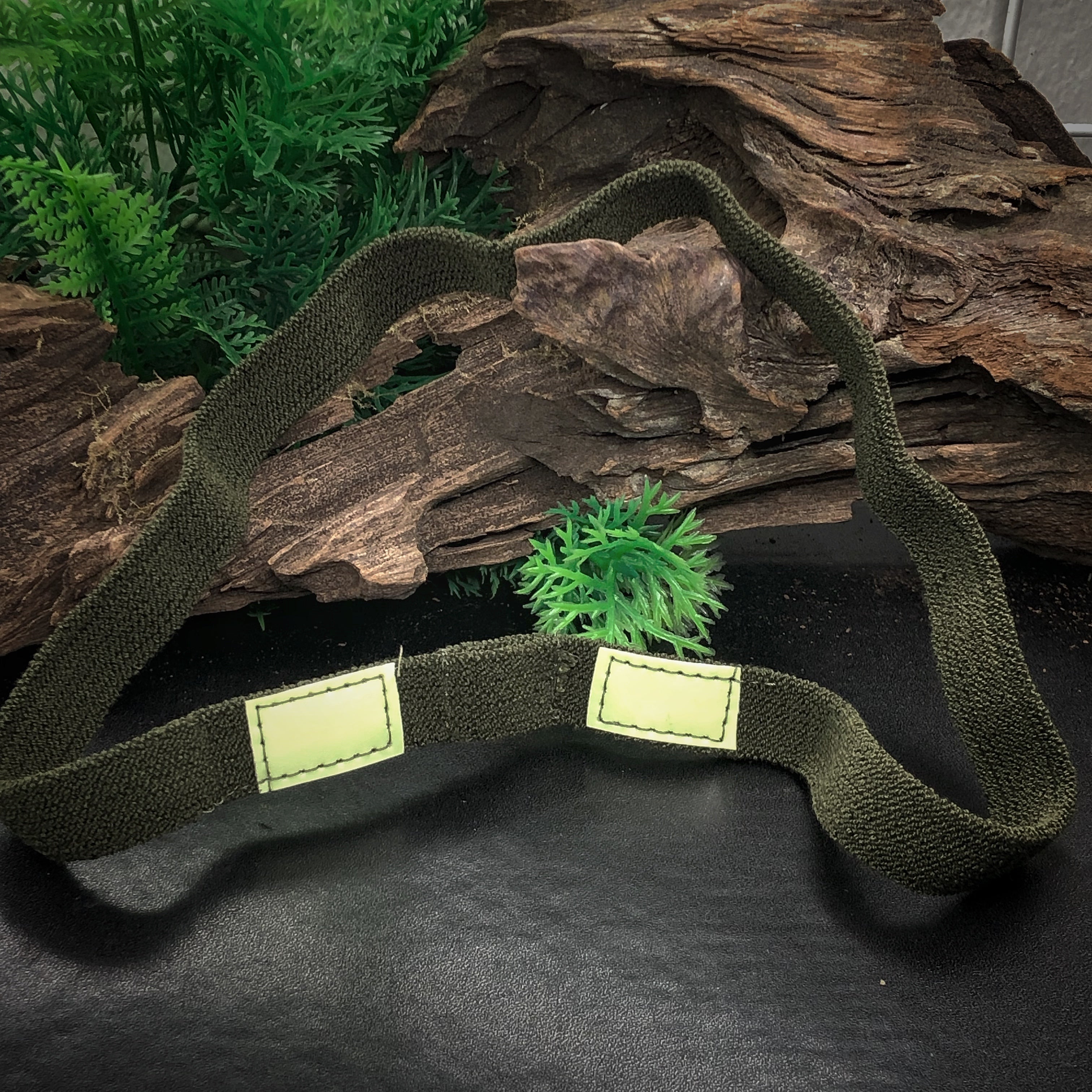 Black Stealth - CatEye Helmet Band (Ranger Eye)