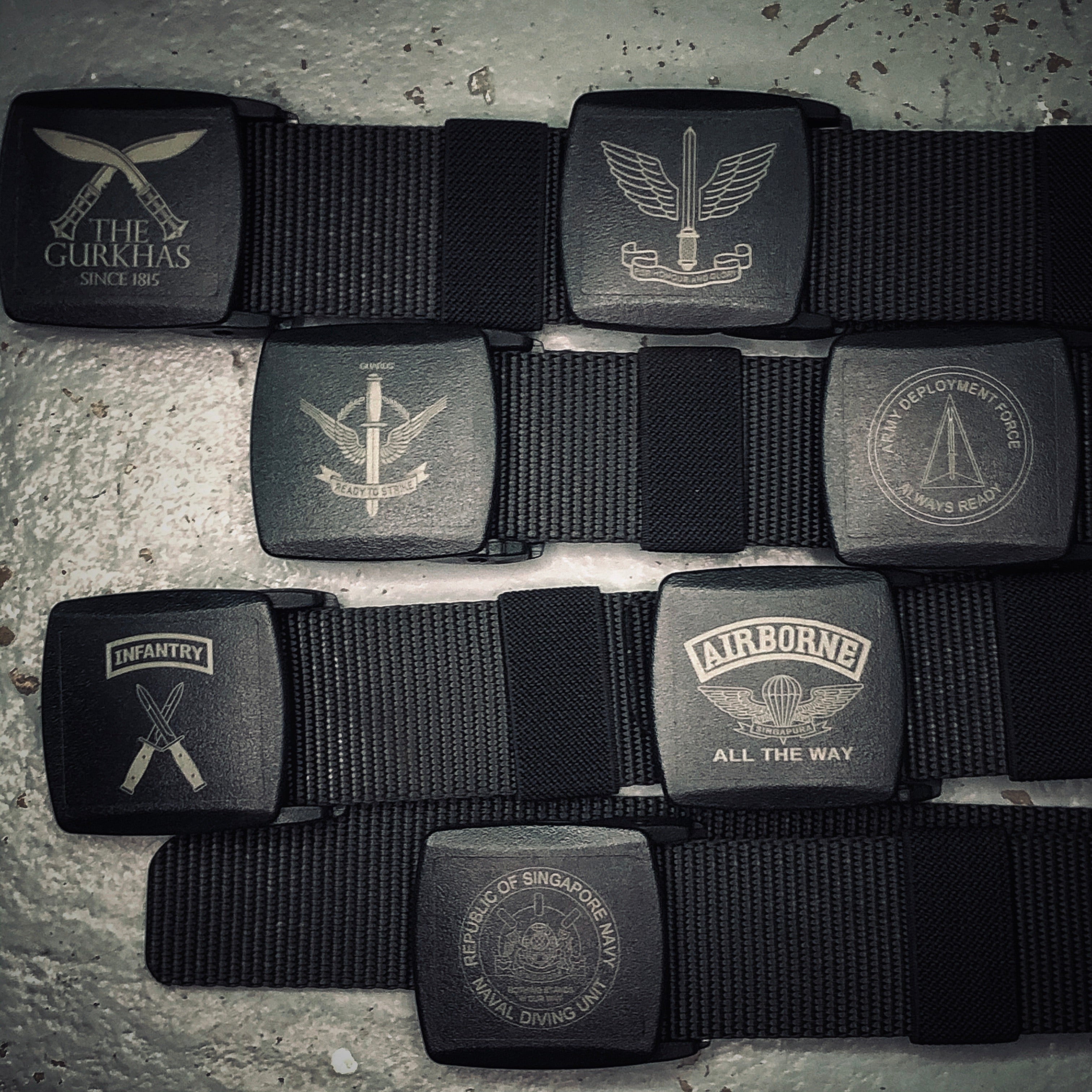 High Desert - Heavy Duty Nylon Belt (Logo)