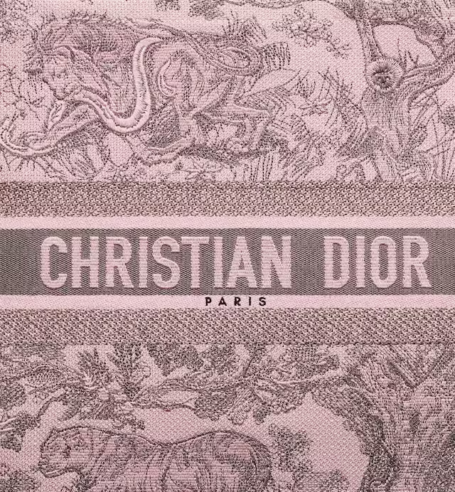 LARGE DIOR BOOK TOTE