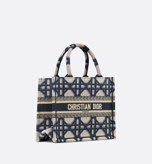 SMALL DIOR BOOK TOTE