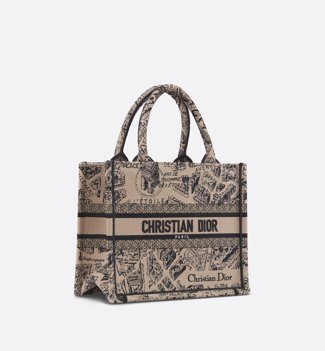 SMALL DIOR BOOK TOTE