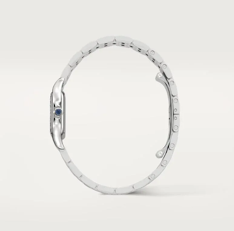 PANTHÈRE DE CARTIER WATCH