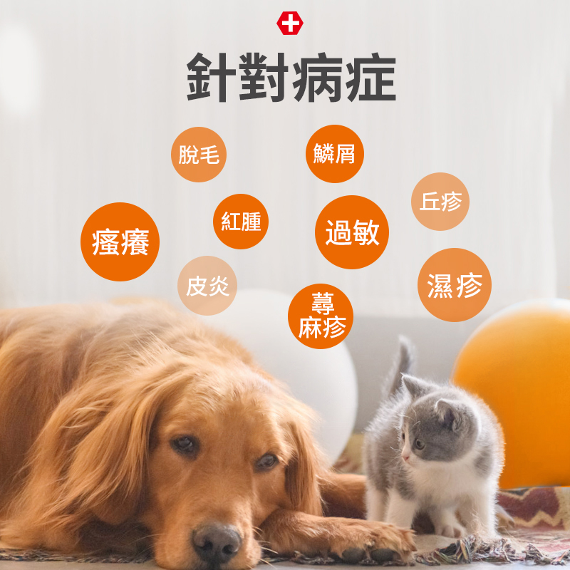 貓狗皮膚瘙癢掉毛治療組合